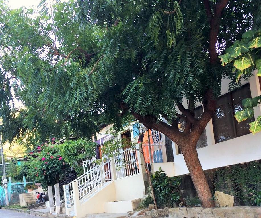 Lorena Surf Hostel ซานฮวนเดลซูร์ ภายนอก รูปภาพ